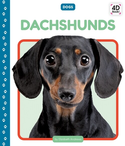 Dachshunds (Library Binding)