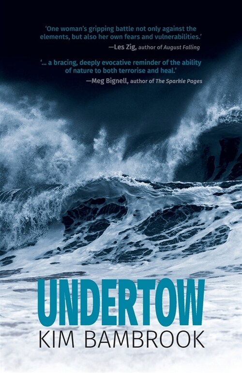 Undertow (Paperback)