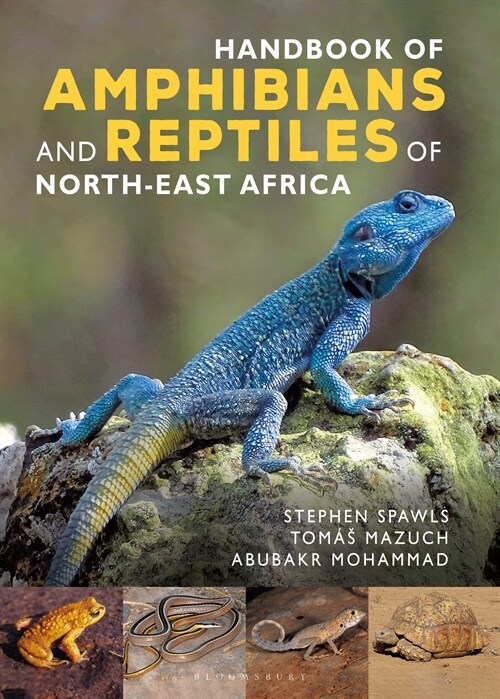 Handbook of Amphibians and Reptiles of North-east Africa (Hardcover)