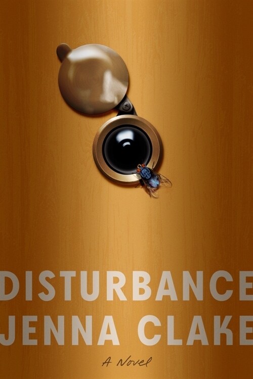 Disturbance (Paperback)