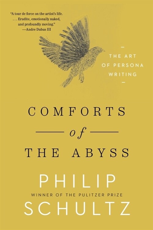 Comforts of the Abyss: The Art of Persona Writing (Paperback)