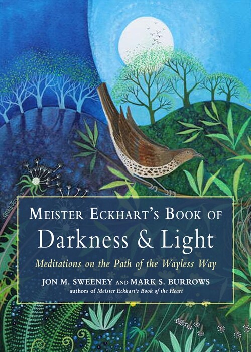 Meister Eckharts Book of Darkness & Light: Meditations on the Path of the Wayless Way (Paperback)