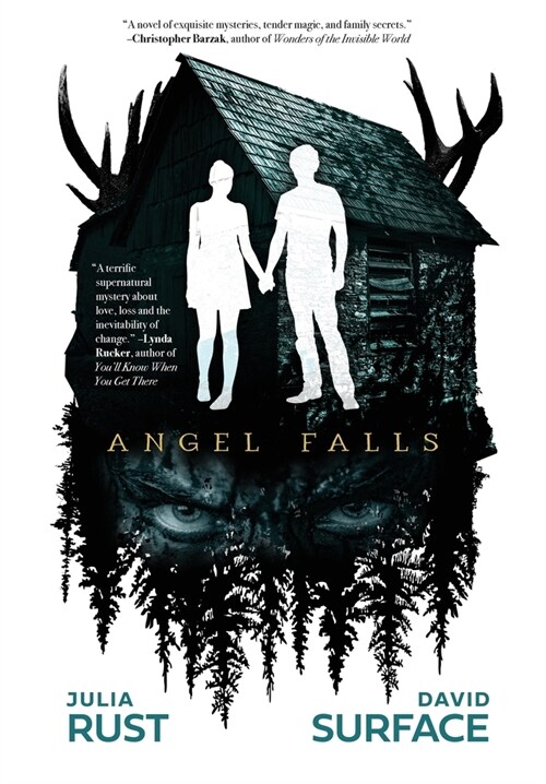 Angel Falls (Hardcover)