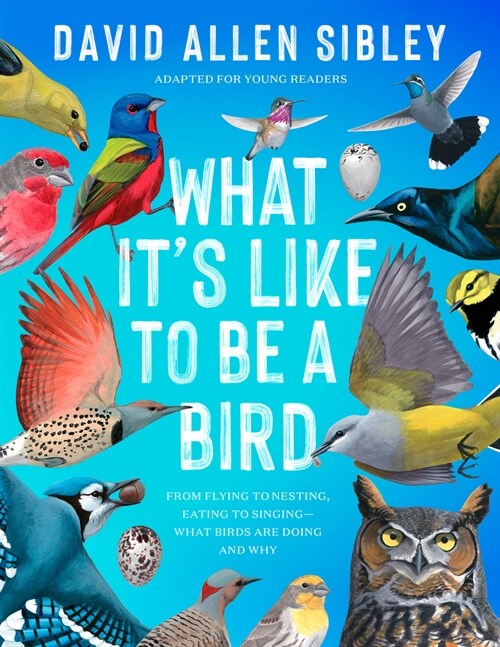 What Its Like to Be a Bird (Adapted for Young Readers): From Flying to Nesting, Eating to Singing--What Birds Are Doing and Why (Hardcover)