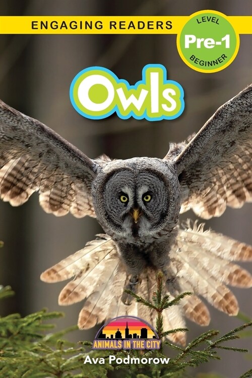 Owls: Animals in the City (Engaging Readers, Level Pre-1) (Paperback)