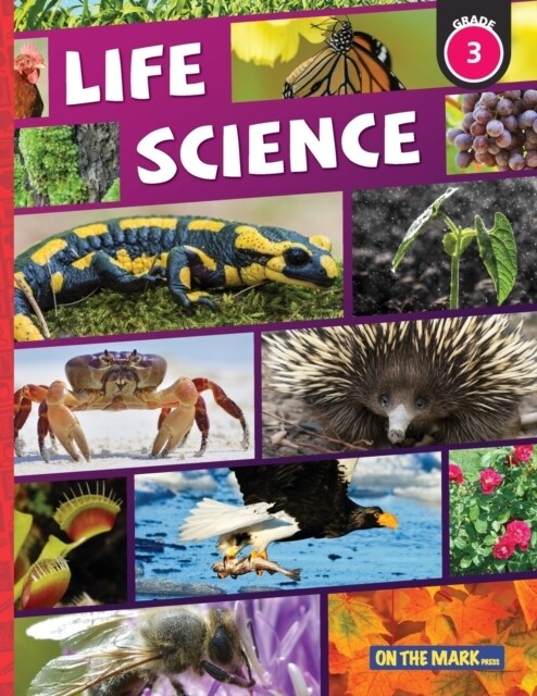 Life Science Grade 3: Growth & Changes in Plants; and Animal Life Cycles: Growth & Changes in Plants; and Animal Life Cycles (Paperback)