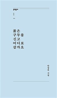 붉은 구두를 신고 어디로 갈까요 : 안정옥 시집 표지이미지