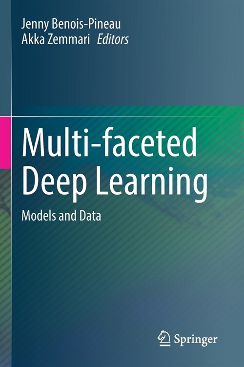 Multi-Faceted Deep Learning: Models and Data (Paperback, 2021)