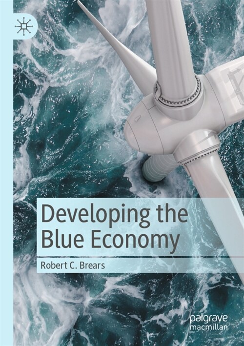 Developing the Blue Economy (Paperback)