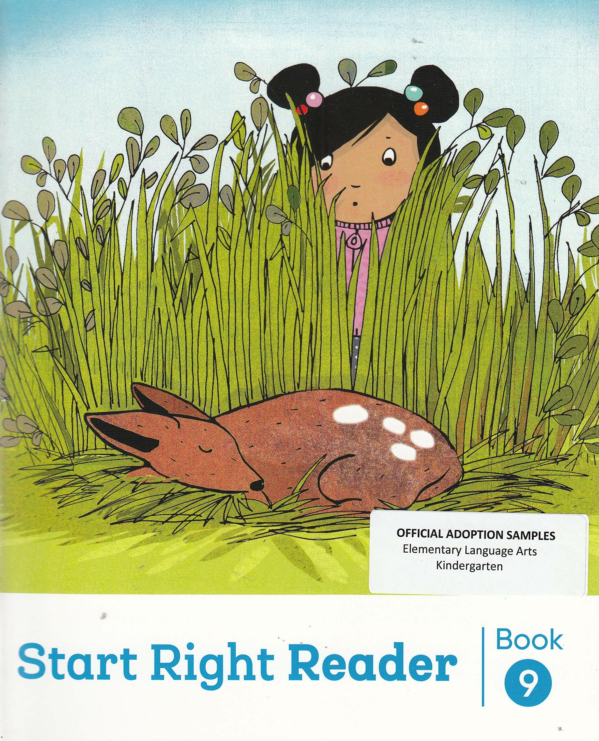 Into Reading Start Right Reader Grade K.9 (Paperback)