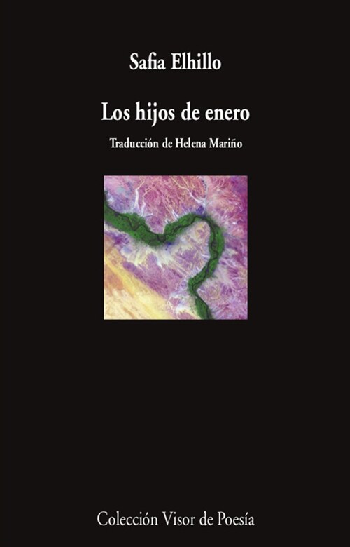 LOS HIJOS DE ENERO (Book)