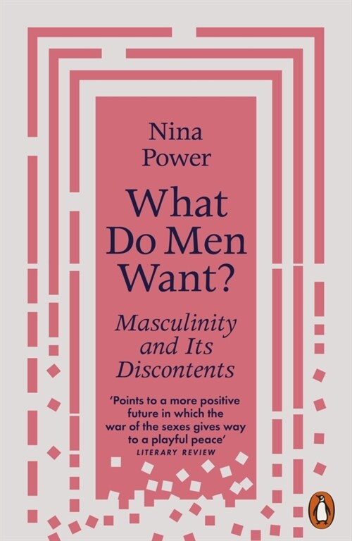 What Do Men Want? : Masculinity and Its Discontents (Paperback)