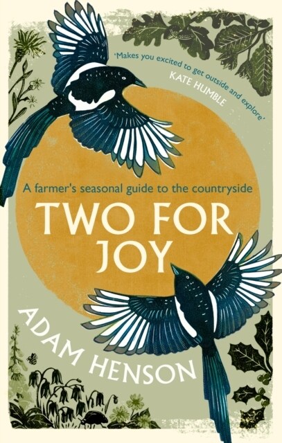 Two for Joy : The untold ways to enjoy the countryside (Paperback)