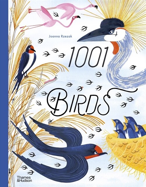 1001 Birds (Hardcover)