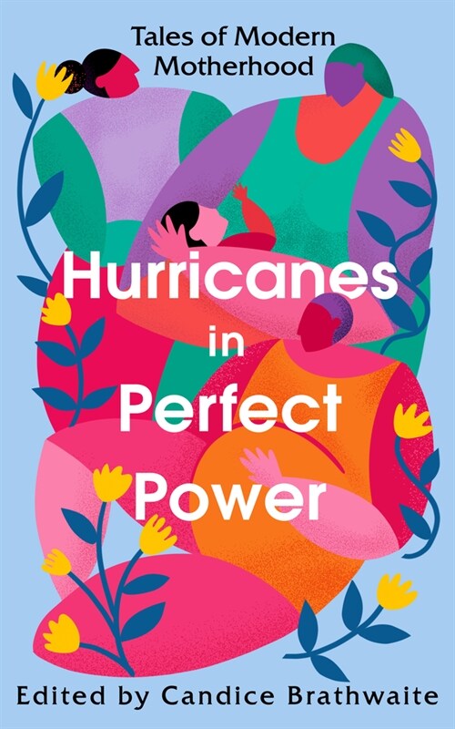 Hurricanes in Perfect Power : Tales of Modern Motherhood (Hardcover)