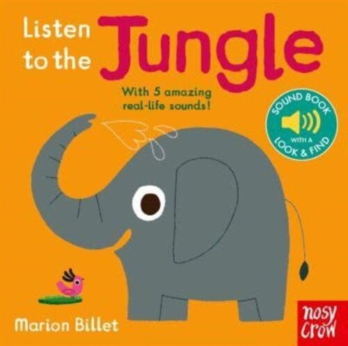 Listen to the Jungle (Board Book, Re-issue)