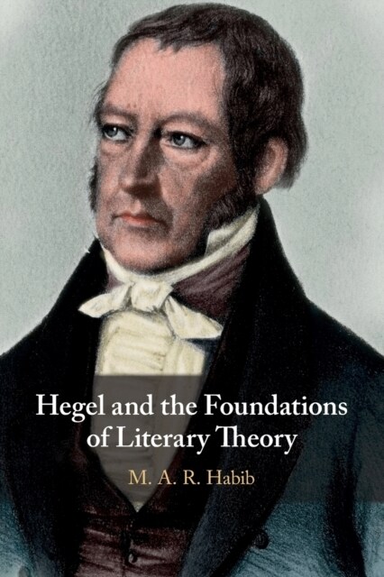 Hegel and the Foundations of Literary Theory (Paperback)