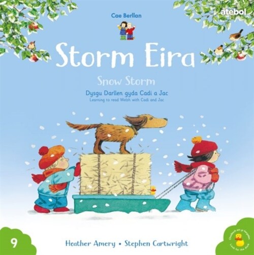Cyfres Cae Berllan: Storm Eira / Snow Storm (Paperback, Bilingual ed)