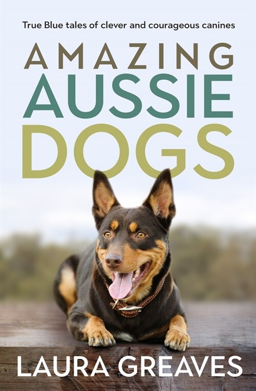 Amazing Aussie Dogs: True Blue Tales of Clever and Courageous Canines (Paperback)