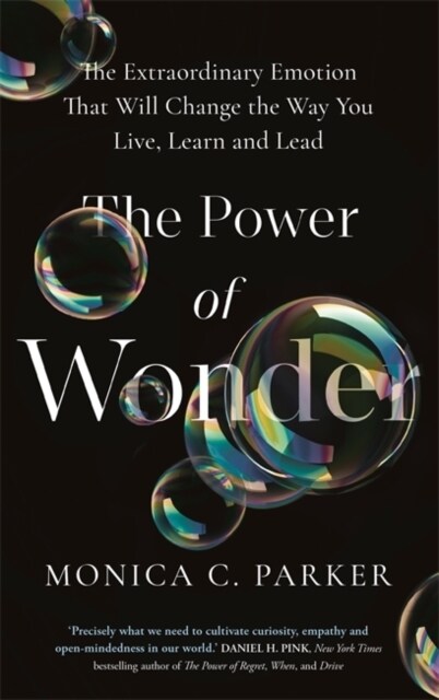 The Power of Wonder : The Extraordinary Emotion That Will Change the Way You Live, Learn and Lead (Paperback)