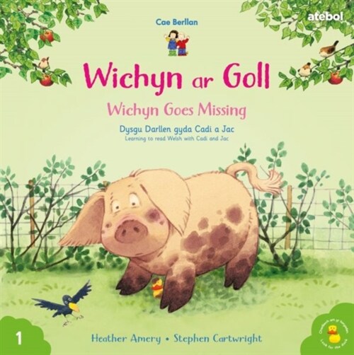 Cyfres Cae Berllan: Wichyn ar Goll / Wichyn Goes Missing (Paperback, Bilingual ed)