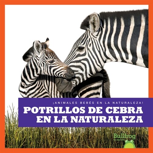 Potrillos de Cebra En La Naturaleza (Zebra Foals in the Wild) (Library Binding)