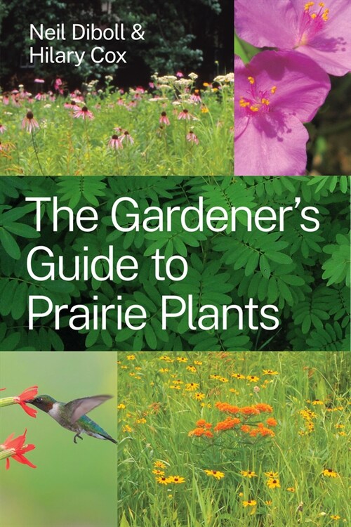 The Gardeners Guide to Prairie Plants (Paperback)