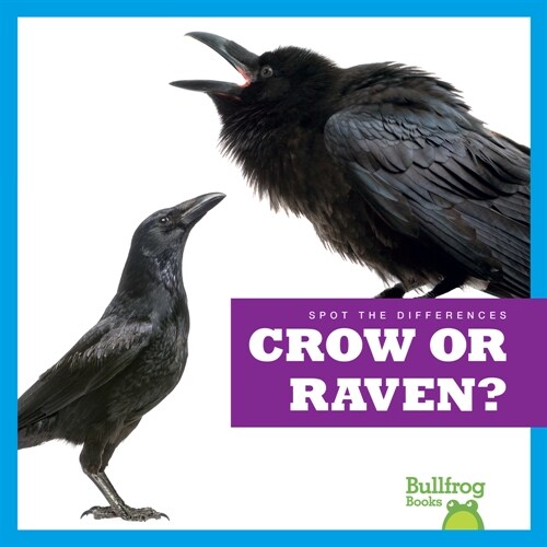 Crow or Raven? (Paperback)