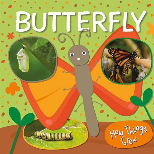 Butterfly (Paperback)