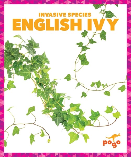 English Ivy (Paperback)