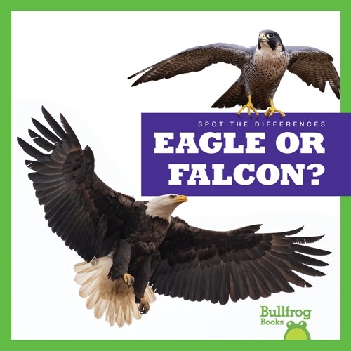 Eagle or Falcon? (Paperback)