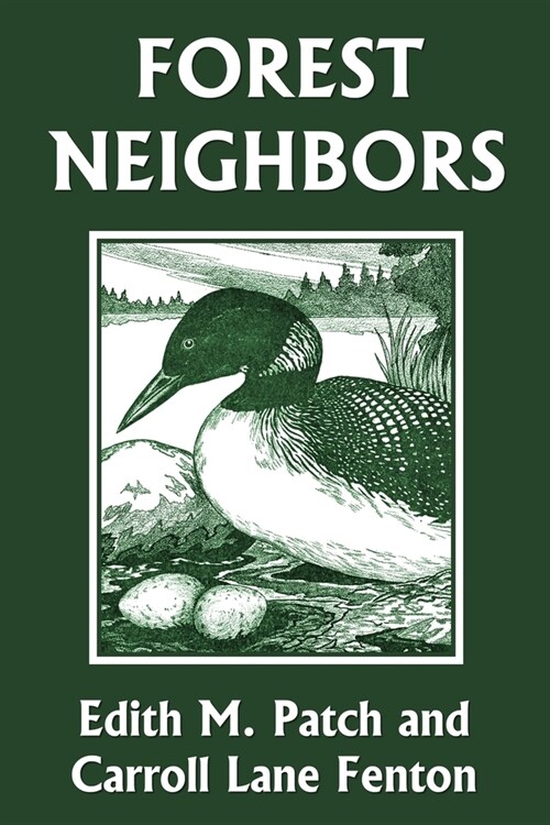 Forest Neighbors (Yesterdays Classics) (Paperback)