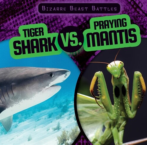 Tiger Shark vs. Praying Mantis (Paperback)