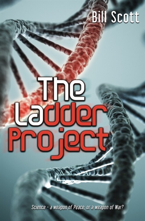 The Ladder Project (Paperback)