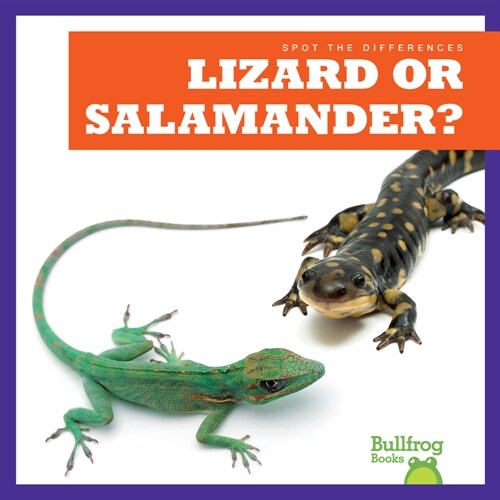 Lizard or Salamander? (Library Binding)