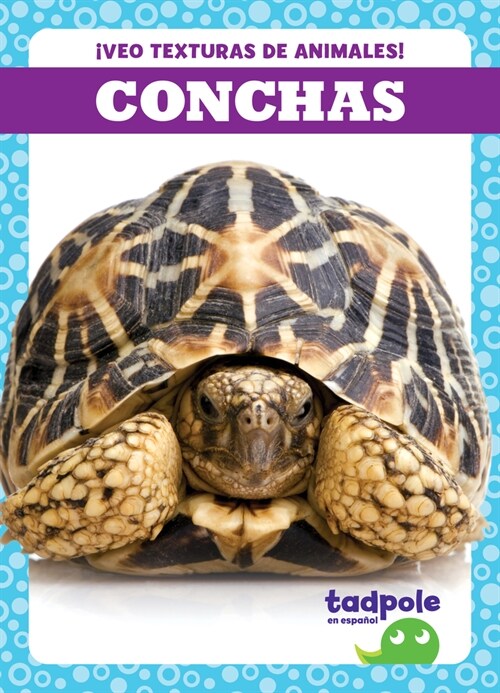 Conchas (Shells) (Library Binding)