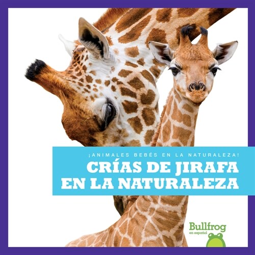 Cr?s de Jirafa En La Naturaleza (Giraffe Calves in the Wild) (Paperback)