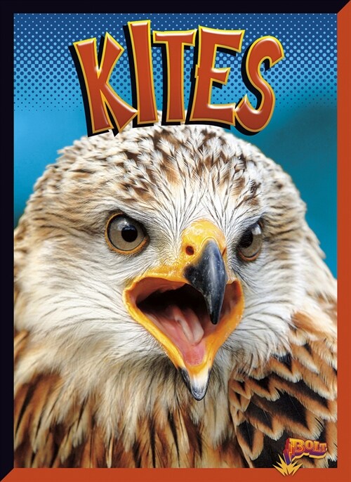 Kites (Paperback)