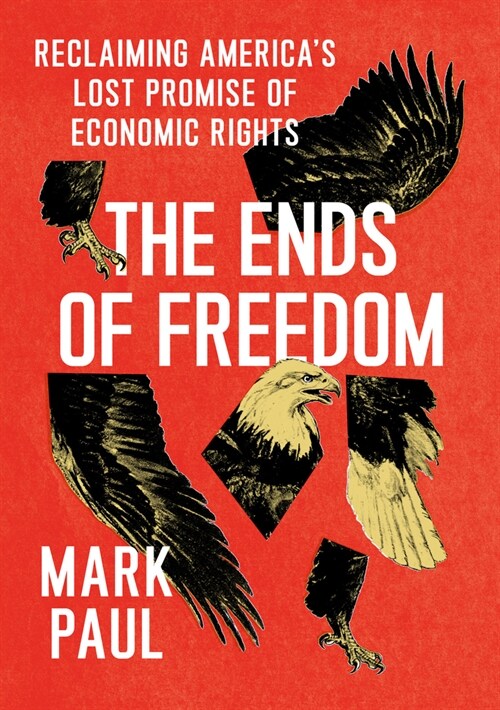 The Ends of Freedom: Reclaiming Americas Lost Promise of Economic Rights (Hardcover)
