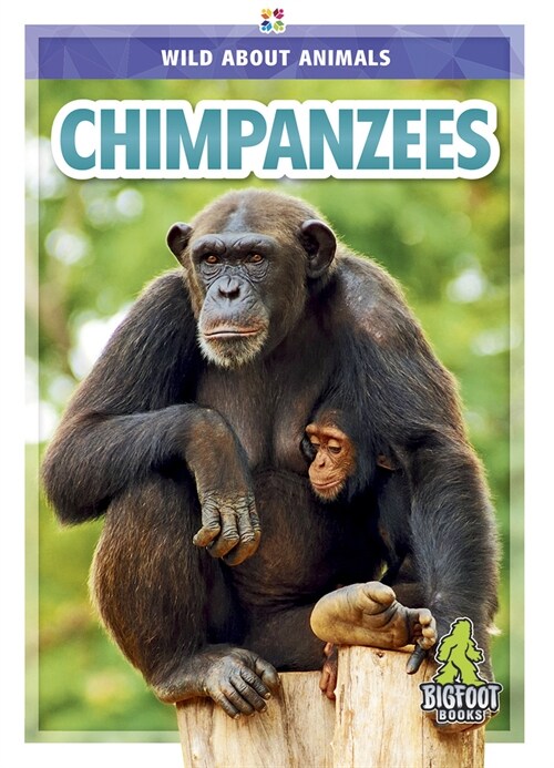 Chimpanzees (Hardcover)
