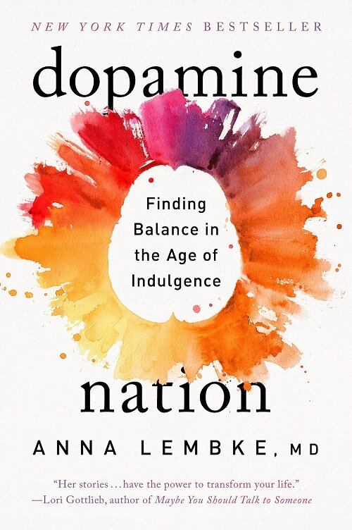 [중고] Dopamine Nation: Finding Balance in the Age of Indulgence (Paperback)