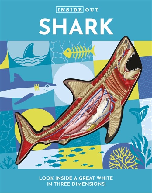 Inside Out Shark: Look Inside a Great White in Three Dimensions! (Board Books)