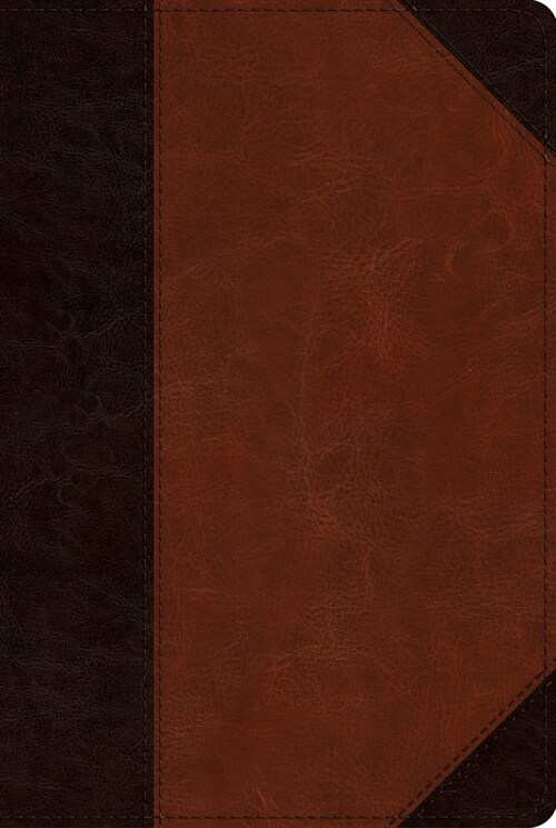 ESV Readers Bible (Trutone, Brown/Cordovan, Portfolio Design) (Imitation Leather)