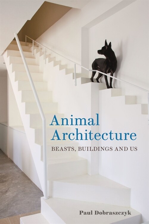 Animal Architecture : Beasts, Buildings and Us (Hardcover)