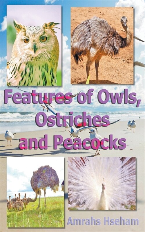 Features of Owls, Ostriches and Peacocks (Paperback)