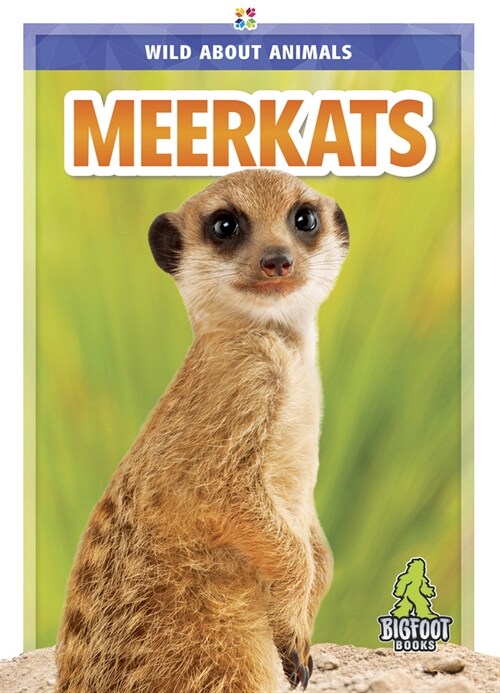 Meerkats (Hardcover)