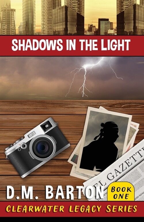 Shadows in the Light (Paperback)