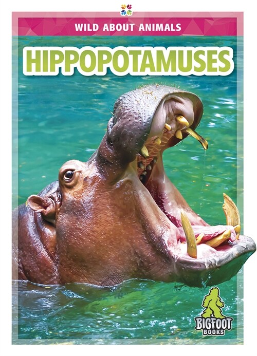 Hippopotamuses (Hardcover)