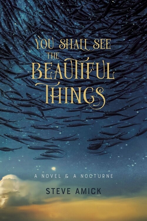 You Shall See the Beautiful Things: A Novel & a Nocturne (Paperback)