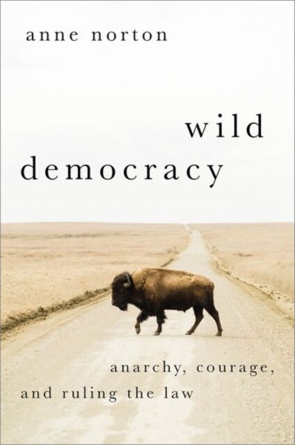 Wild Democracy: Anarchy, Courage, and Ruling the Law (Hardcover)